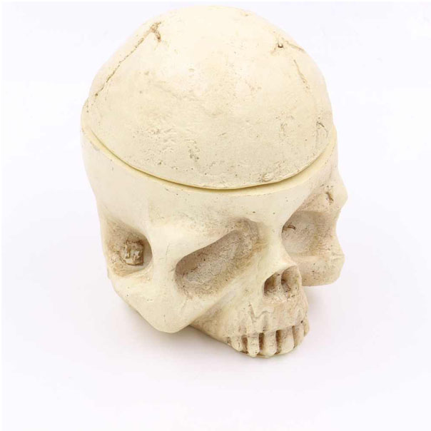 skull2 Подставка под колпачки в форме черепа